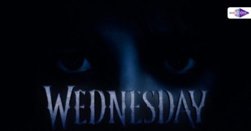 IMG 20230107 WA0012 Wednesday series review on Netflix,Wednesday season 2,Wednesday On Netflix