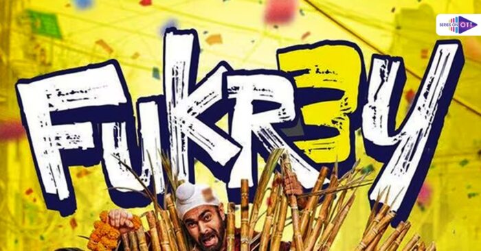 Fukrey 3 Release Date and OTT Platform: one of the brilliant franchise to come on board yet again